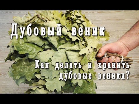 Видео: Дубовые веники. Как делать. Как хранить