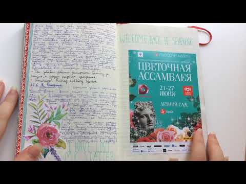 Видео: Личный дневник Стив | обзор, комментарии | встречайте Эмили