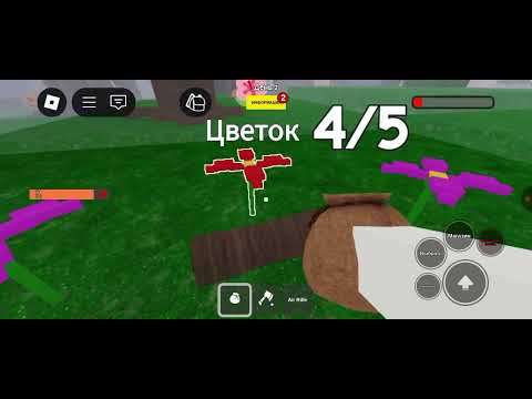 Видео: 3 ноября 2025 г.