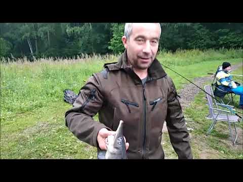 Видео: Дистанция, орудие ловли. Всё в кадре- рыбалка КЛАСС! Осётр на нижнем в Клёвом месте, лосиный остров.