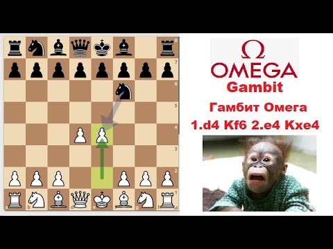 Видео: Побеждай в 15 ходов! Гамбит Омега (Omega Gambit)