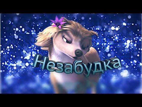 Видео: Незабудка ( клип Альфа и Омега)