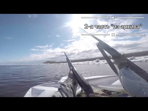 Видео: Экстремальная охота на гуся 2 часть Саха Якутия / Extreme goose hunting / Sakha Yakutia / из архива