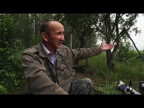 Видео: Контоев Геннадий Афанасьевич,"Өбүгэ быстыбат ситимэ". Одуну түөлбэтин Маҕарас олохтооҕун кэпсээнэ.