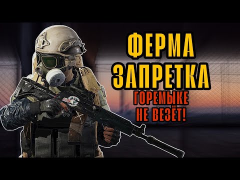 Видео: ИЩУ ТЕПЛАКОВ НА ФЕРМА ЗАПРЕТНАЯ ЗОНА в Арена Брейкаут С НУЛЯ ДО ТЕПЛАКА #arenabreakout