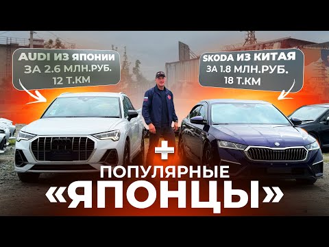 Видео: Редкая Skoda Octavia из Китая и БОЛЬШОЙ ВЫВОЗ АВТО ИЗ ЯПОНИИ: Audi Q3 |Volvo V60 | Wish | Fit | Note