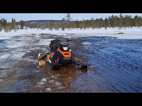 Видео: Тайга,май на снегоходе ,пробиваюсь на рыбалку,дорога размыта,ручьи,вскрылись.