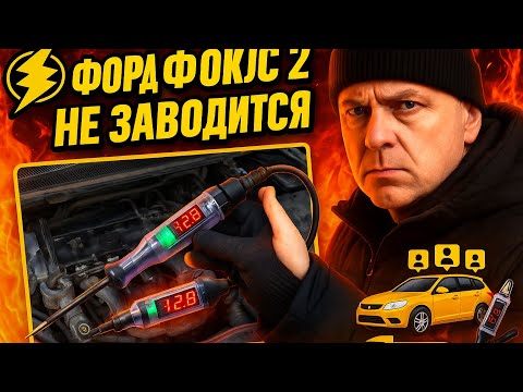 Видео: Клиент, которому нужно доказать диагноз🤦