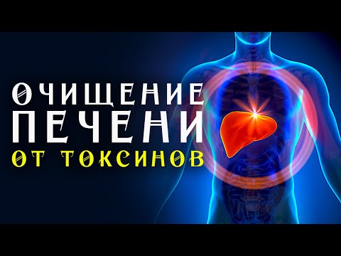 Видео: Матрица Гаряева Очищение Печени от Токсинов ☀️ Полное Восстановление и Исцеление Печени Звуком