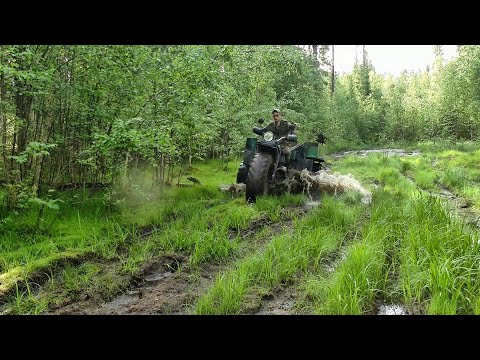 Видео: Без улова не остался #523