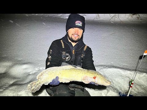 Видео: Коварная река, рыбалка 2023! Ловим Налима.