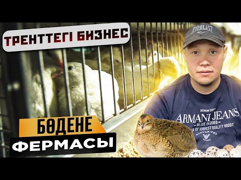 Видео: Бөдене фермасын ашуға алғашқы қадамдар…