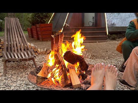 Видео: Как мы провели апрельский weekend в сердце леса 💕🌳🦌 #отдыхвлесу