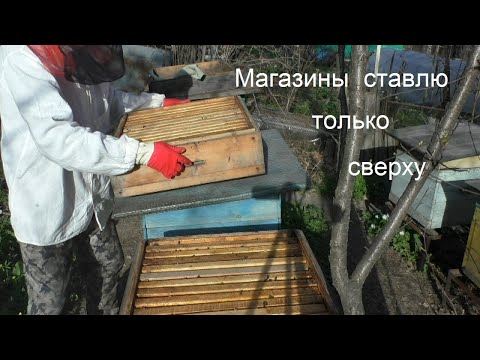 Видео: Я не ставлю магазины в разрез