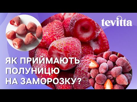 Видео: Як приймають суницю садову на заморозку. | Академія Ягідництва