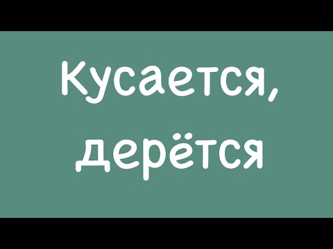 Видео: Ребёнок кусается, дерётся