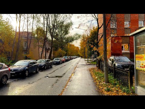 Видео: Осеннее утро на Удельной.