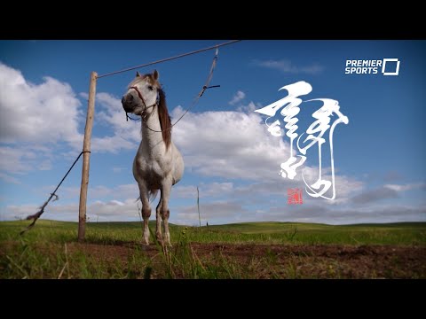 Видео: Наадмын өнгө 2023 | “ЗАГАЛ МОРЬ” нэвтрүүлэг