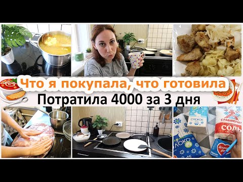 Видео: На кухне с белкой: что я покупала, что готовила за 3 дня. Потрачено 4000 - на что?