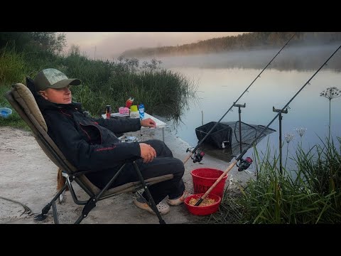 Видео: Нічна рибалка на Десні. Пригоди з фідером на нових місцях. Що очікувати від Десни в серпні?
