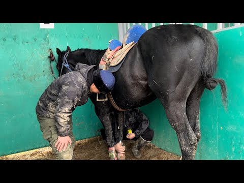 Видео: Достук командасынын аттары 😍😍😍