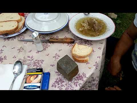 Видео: На сбор в Раково 2018 г.