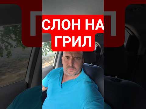 Видео: СМЯХ СЛОН