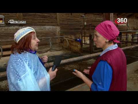 Видео: Дороги деревенские 06.08