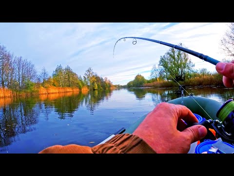 Видео: Она всадила так что я был в шоке!!! ОСЕННИЙ СПИННИНГ!