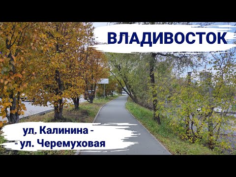 Видео: Владивосток октябрь 2025