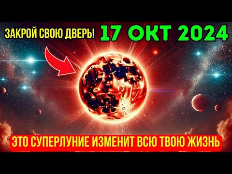 Видео: ВНИМАНИЕ!🛑17 ОКТЯБРЯ 2024🌕Энергия ПОЛНОЙ ЛУНЫ уже начала действовать✨ Не забудьте об этом!