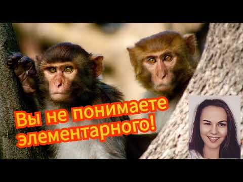 Видео: Аферисты путаются во времени и фамилиях // Василиса против мошенников