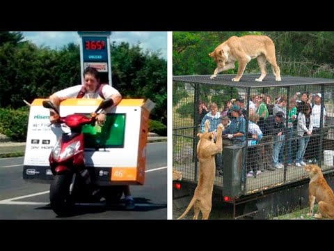 Видео: Риск - дело благородное!