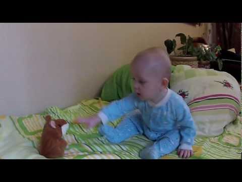 Видео: говорящий хомяк учит младенца разговаривать