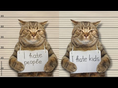 Видео: 30 МИНУТ 😹🤣 СМЕШНЫЕ КОШАЧЬИ ПРОВАЛЫ! Приготовьтесь выть от смеха! 😂🤪