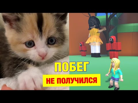 Видео: НОВЫЙ СПОСОБ КАК УБЕЖАТЬ от ИГРЫ в КАЛЬМАРА 😱 Получилось?