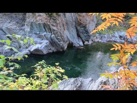 Видео: р КУМИР, дорога, природа Горный Алтай