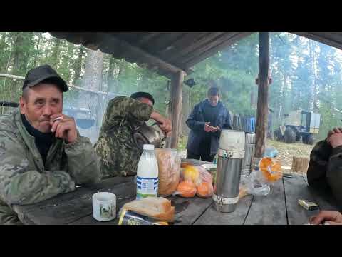 Видео: Рыбалка в Сибири. Томская обл., озеро Кирилкино.