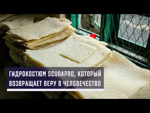 Видео: Секрет гидрокостюма SCUBAPRO: удивительные возможности