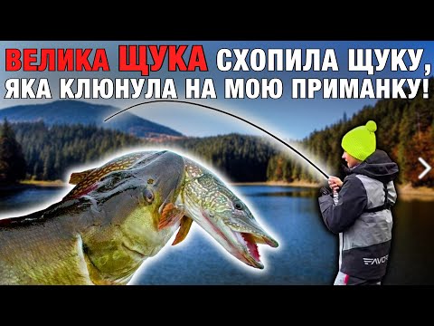 Видео: ВЕЛИЧЕЗНА ЩУКА НАКИНУЛАСЬ На ЩУКУ, Яка Клюнула НА МОЮ ПРИМАНКУ!