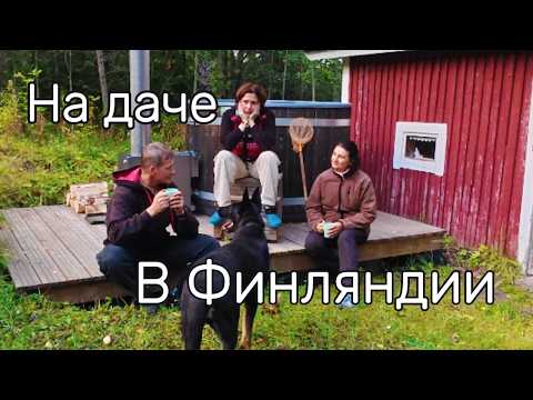 Видео: Финская глушь и моя сватья