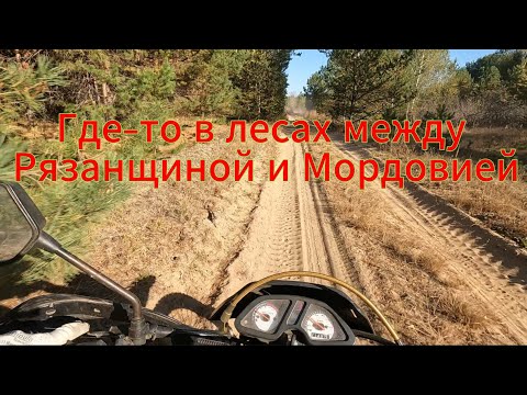 Видео: 227 км на мотоцикле по далёким лесам. Тёплая сухая осень. Серия 2