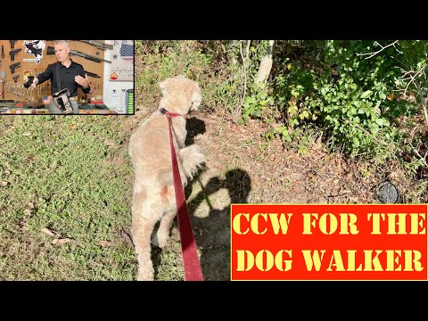 Видео: CCW для выгуливающих собак