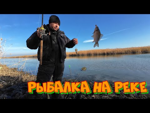 Видео: Закрыли воду, вся рыба в русле  Рыбалка на реке в ноябре.