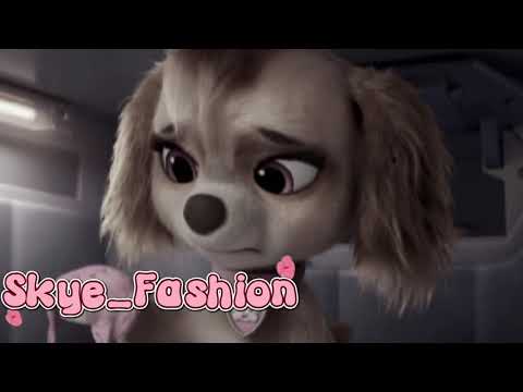 Видео: Скай и Гонщик : Прощание . заказ . 