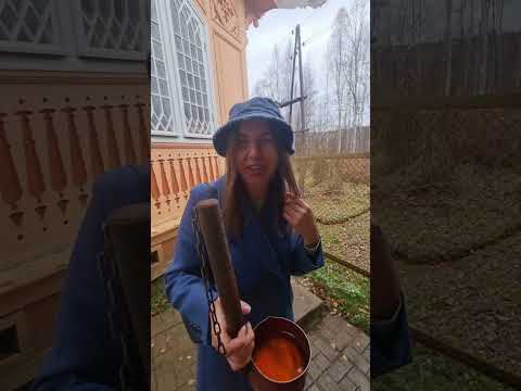 Видео: Лучший отдых в Карелии—Марциальные воды и уютный домик в Кончезеро. Попробовали воду с железом -живы