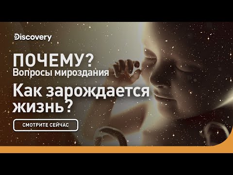 Видео: Как зарождается жизнь? | Почему: вопросы мироздания | Discovery