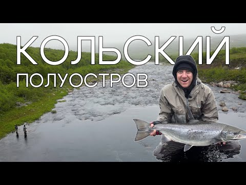 Видео: ЗА ДИКОЙ СЁМГОЙ НА КОЛЬСКИЙ ПОЛУОСТРОВ! ДВУРУЧНЫЙ НАХЛЫСТ С НУЛЯ И ТРОФЕЙНАЯ РЫБА!