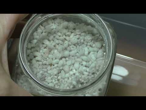 Видео: Завершаю эксперимент с микоризой