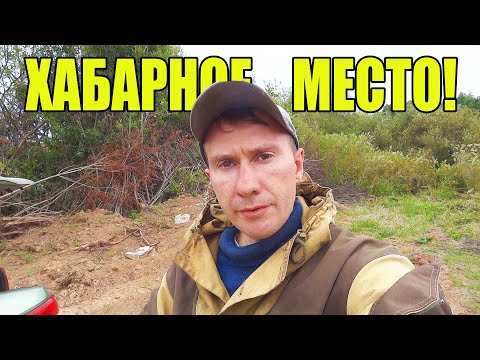 Видео: Нашел хабарное место! Распахали старые фундаменты коп монет с Minelab Equinox 600